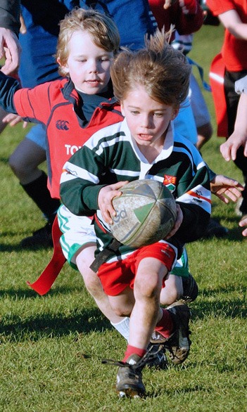 Under 6s.jpg